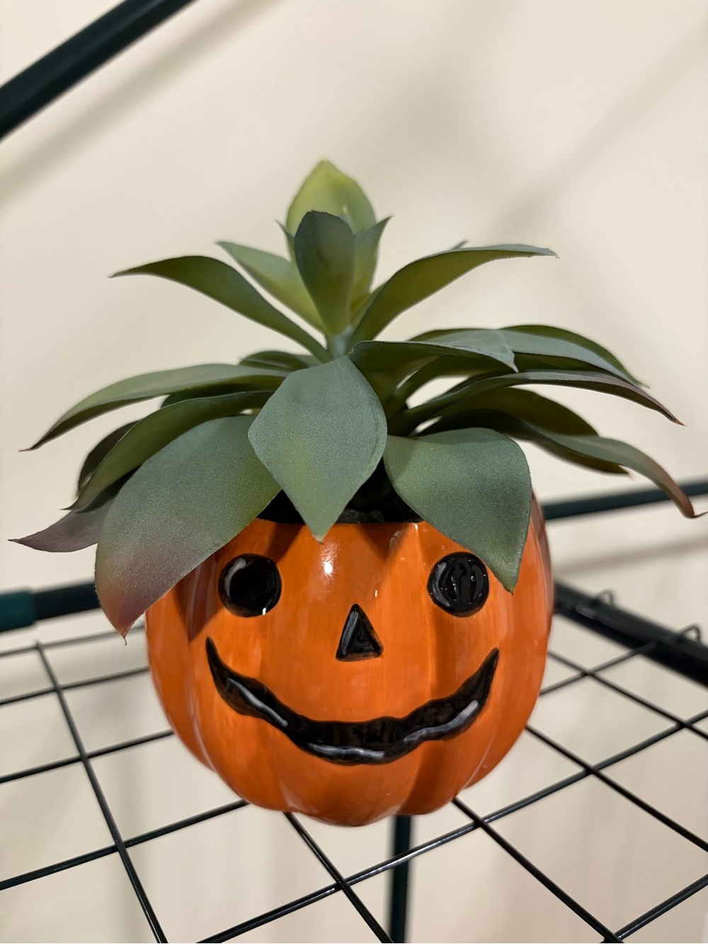 Ceramic Jack-o'-Lantern Planter with Faux Succulent - Orange & Green